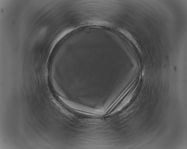 X0000086081024200704091255