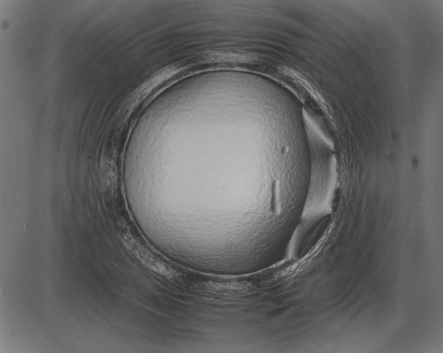 X0000086081025200704091255