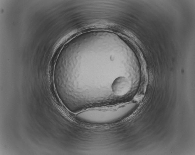 X0000086081026200704091255