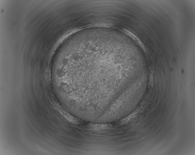 X0000086081027200704091256