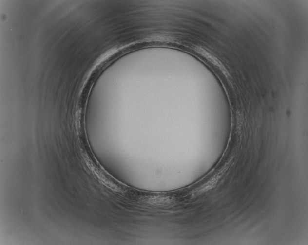 X0000086081029200704091256