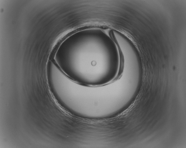 X0000086081030200704091256