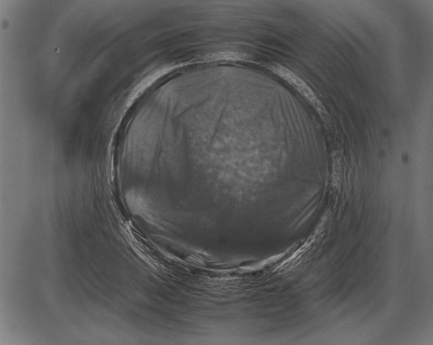 X0000086081031200704091256