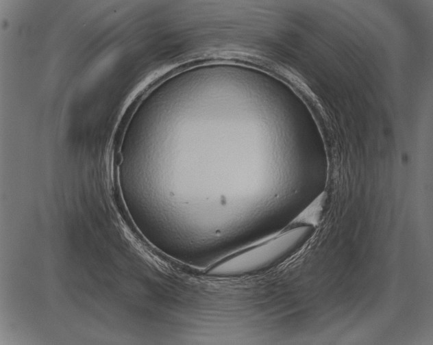 X0000086081032200704091256