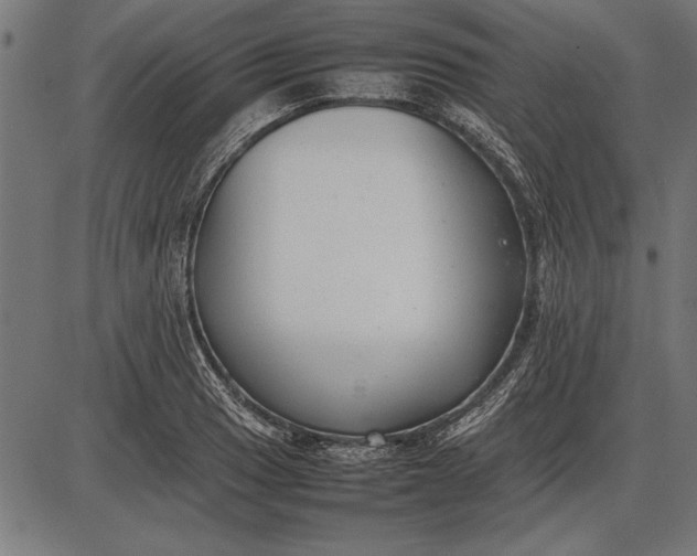 X0000086081033200704091256