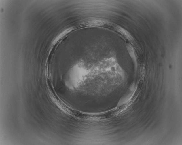 X0000086081034200704091256