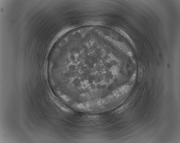 X0000086081035200704091256