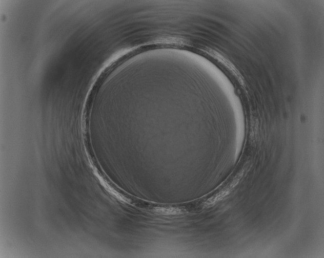 X0000086081037200704091256