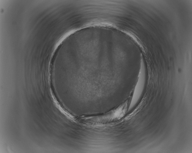 X0000086081038200704091256