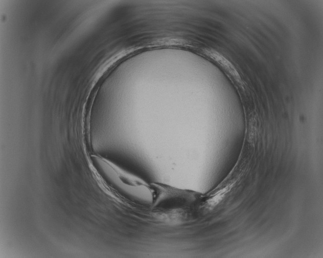 X0000086081039200704091256