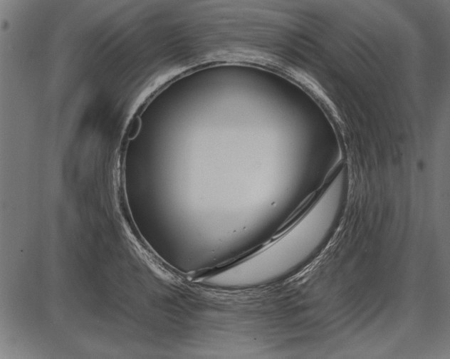 X0000086081040200704091256