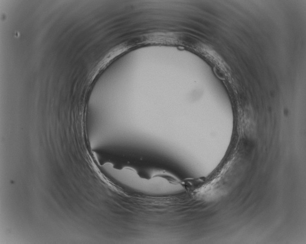 X0000086081041200704091256