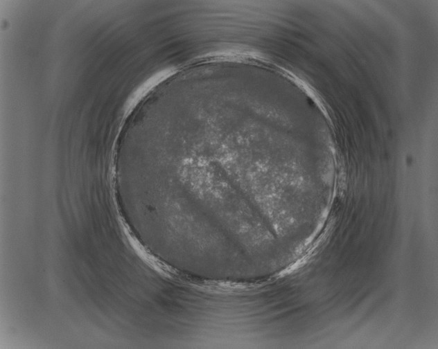 X0000086081042200704091256