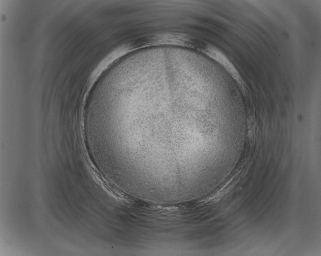 X0000086081043200704091256