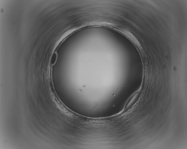 X0000086081044200704091256