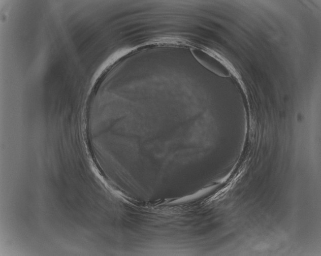 X0000086081045200704091256