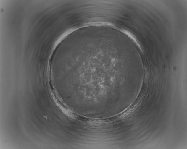 X0000086081046200704091256