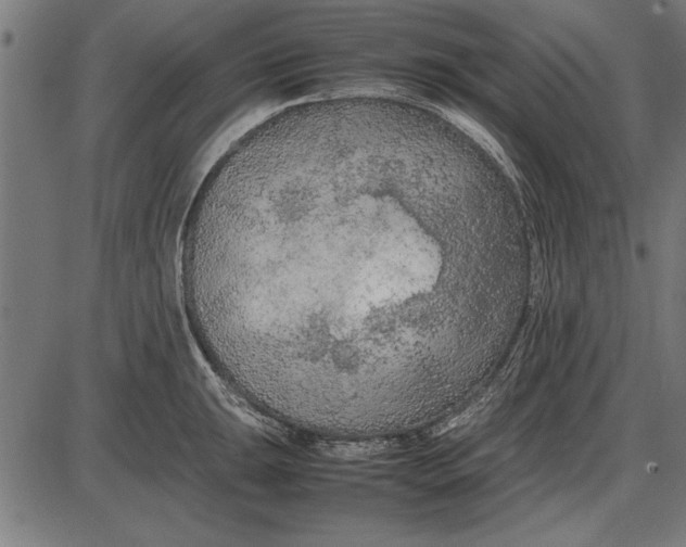 X0000086081047200704091256