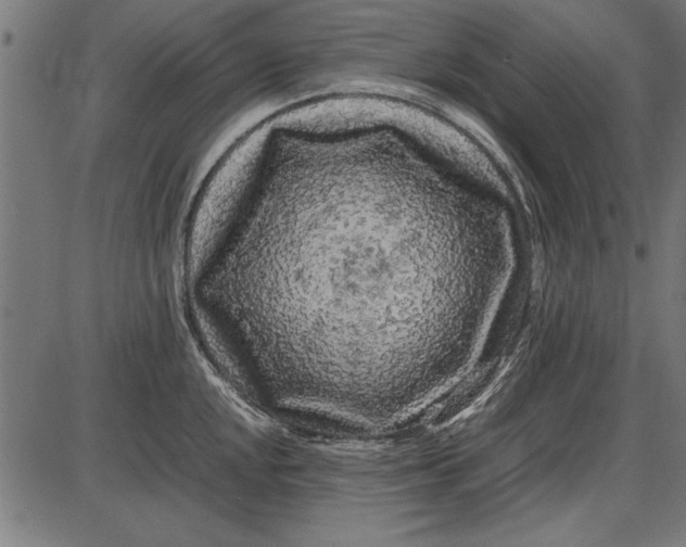 X0000086081048200704091256