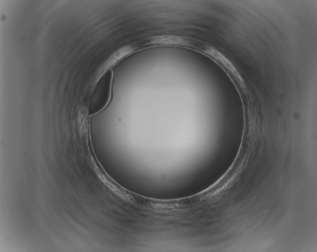 X0000086081049200704091256