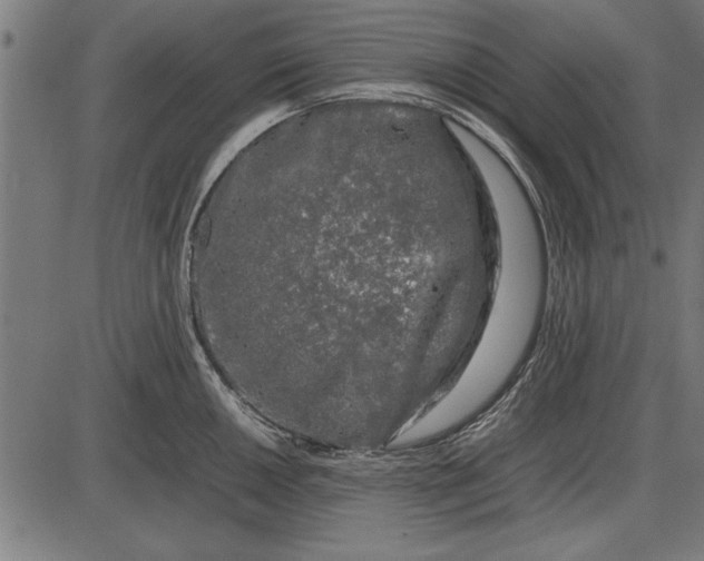 X0000086081050200704091256