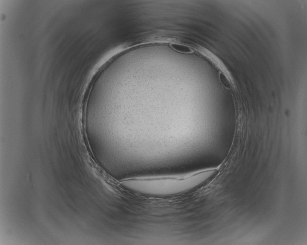 X0000086081051200704091256