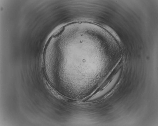 X0000086081052200704091256