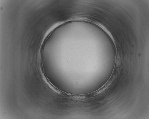 X0000086081053200704091256