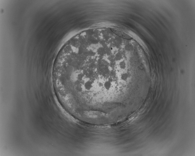 X0000086081055200704091256