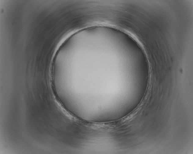 X0000086081056200704091256