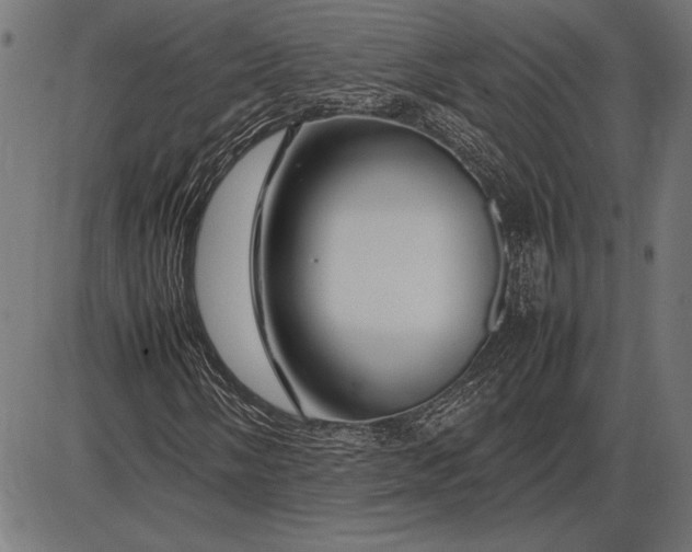 X0000086081058200704091255