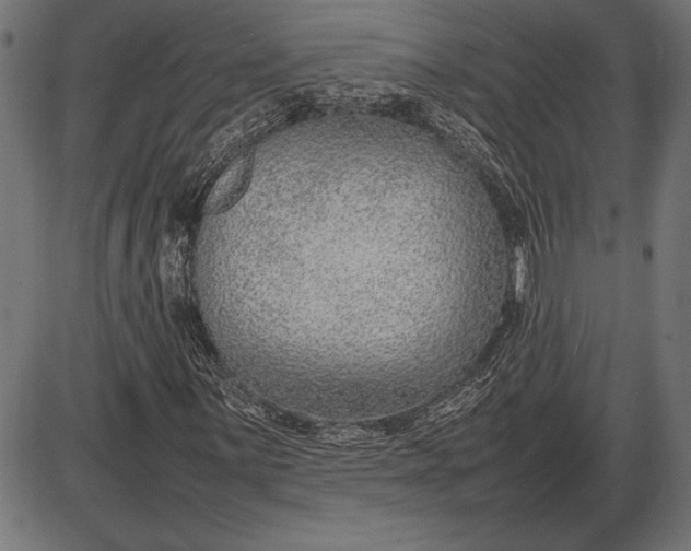 X0000086081059200704091255