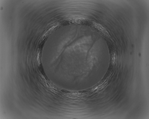 X0000086081060200704091255