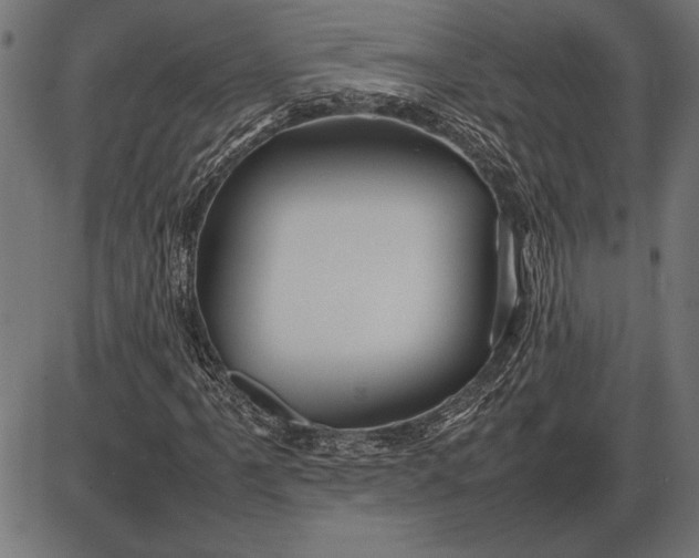 X0000086081061200704091255