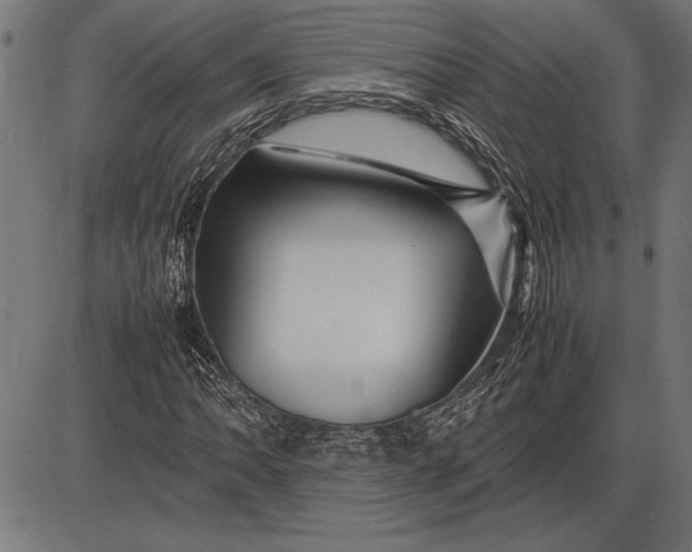 X0000086081062200704091255