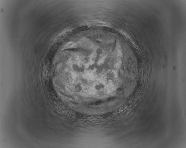 X0000086081063200704091255