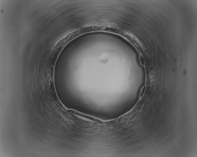 X0000086081064200704091255