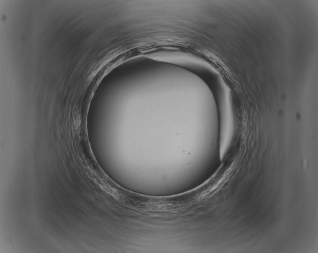 X0000086081065200704091255