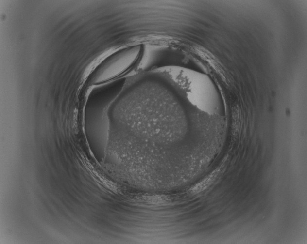 X0000086081066200704091255