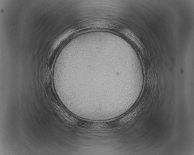 X0000086081067200704091255