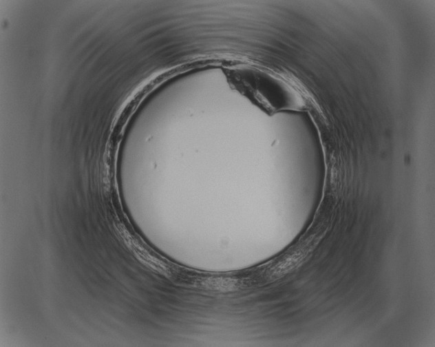 X0000086081068200704091255