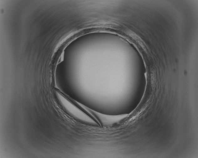 X0000086081069200704091255