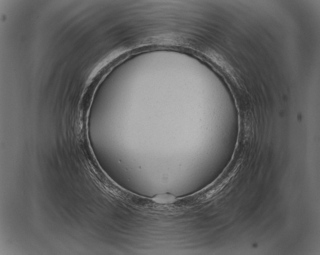 X0000086081070200704091255