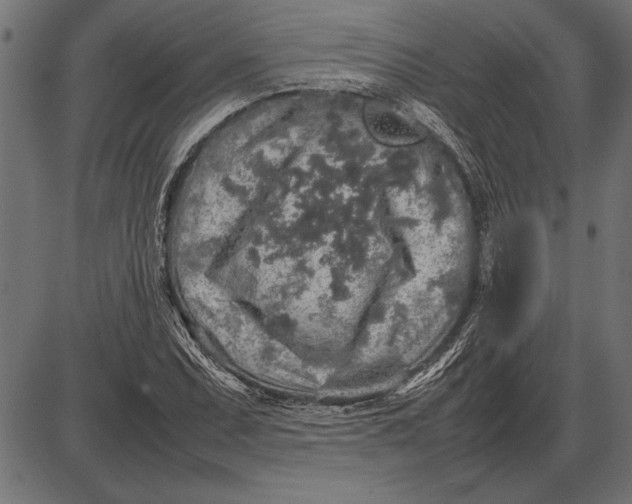 X0000086081071200704091255