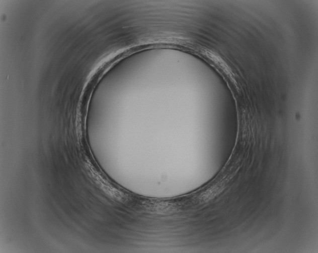 X0000086081072200704091255