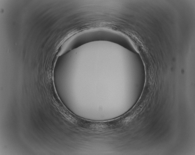 X0000086081073200704091255