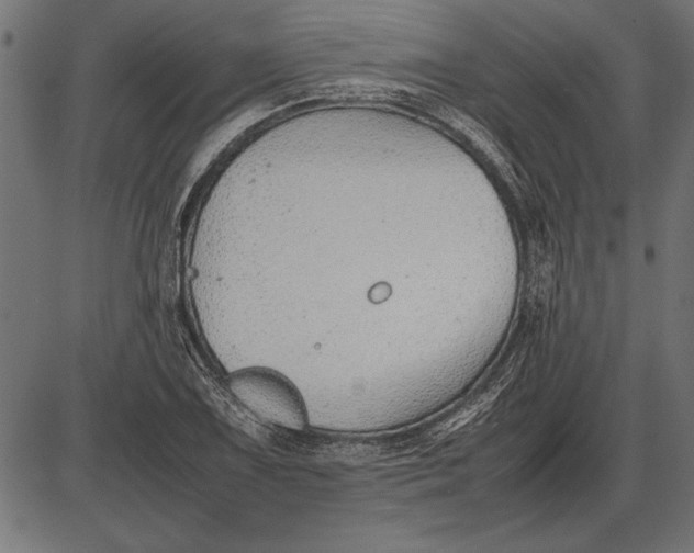 X0000086081075200704091255