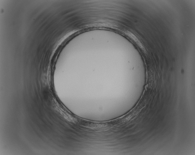 X0000086081076200704091255