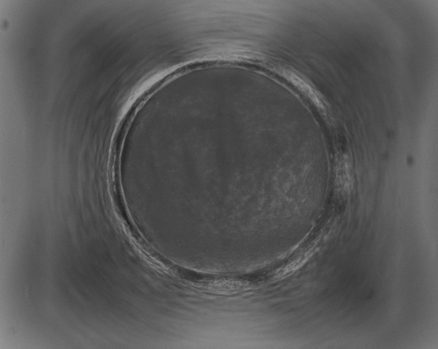 X0000086081077200704091255