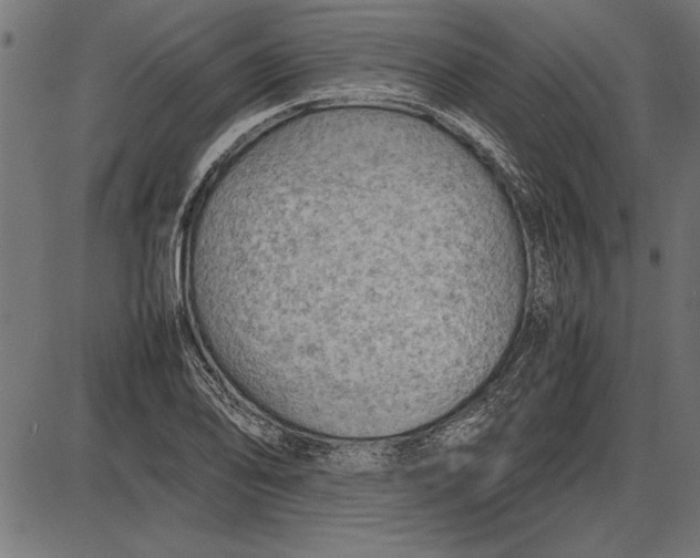 X0000086081078200704091255